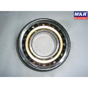 Deep Groove Ball Bearing 88509